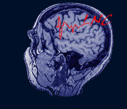 Laboratorio de Neurocognición